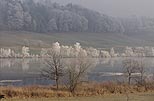 Unser Gestüt in Frauenkappelen